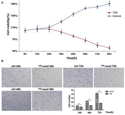 125I Seed Promotes Apoptosis in Non-small Lung Cancer Cells via the p38 MAPK-MDM2-p53 Signaling Pathway